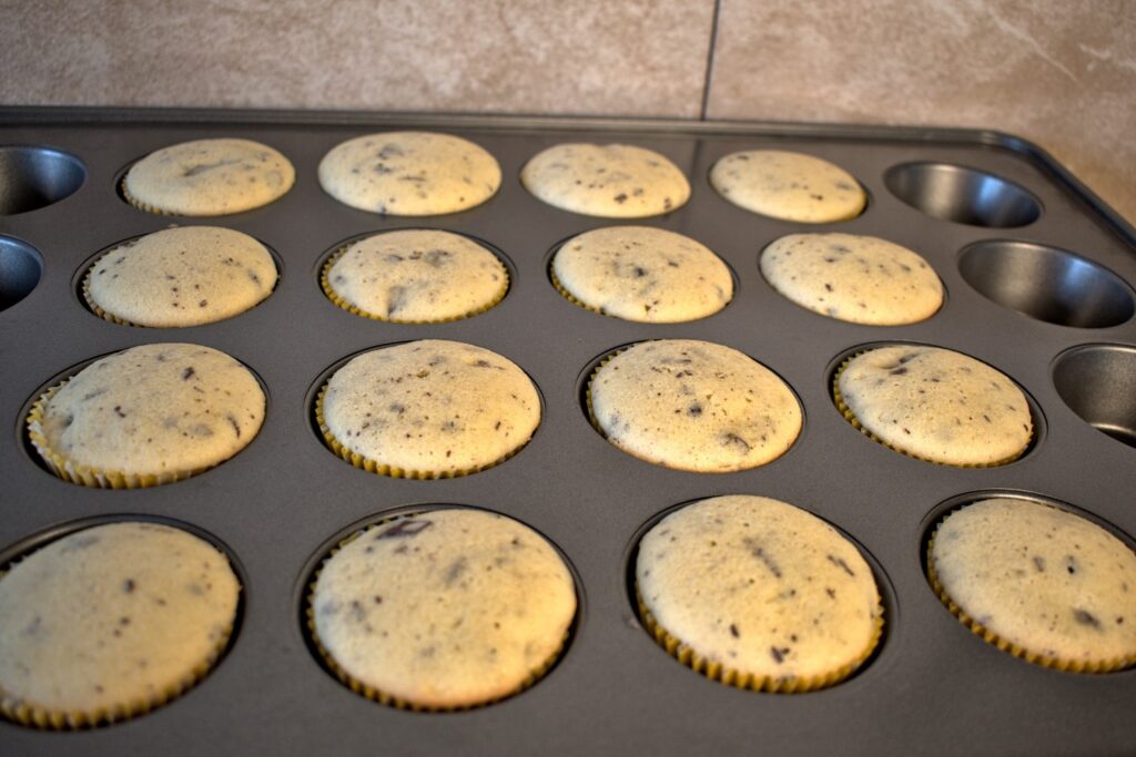 Chocolate chip cupcakes